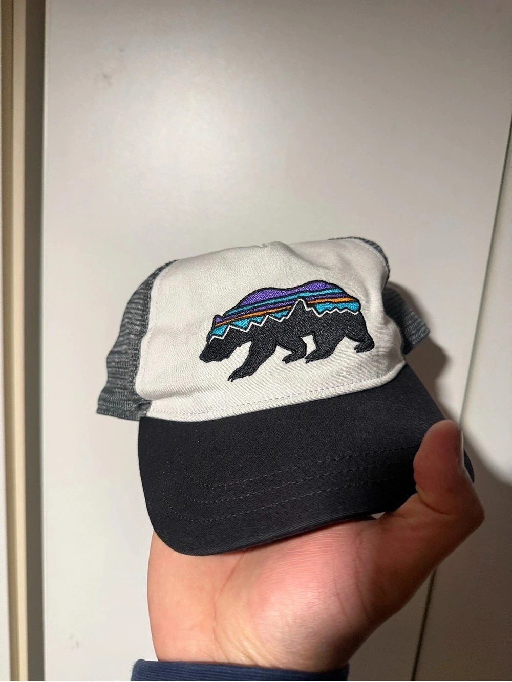 Patagonia Fitz Roy Bear Trucker Hat Black & White